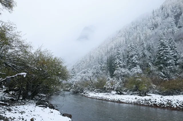 跟我們德陽出發每週去野吧！