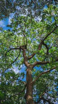 宜昌濱江:在長江岸線,邂逅老工業與深秋的詩意共鳴