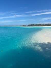 An Exceptional Host at a Beautiful Island