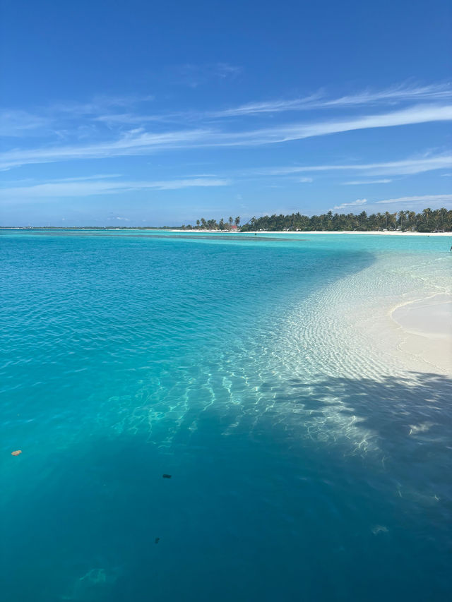 An Exceptional Host at a Beautiful Island An Exceptional Host at a Beautiful Island