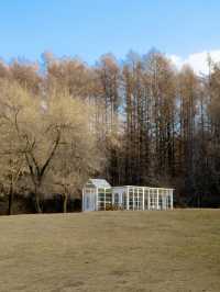 淨月潭：在冷杉林與月亮之間豢養一汪液態翡翠