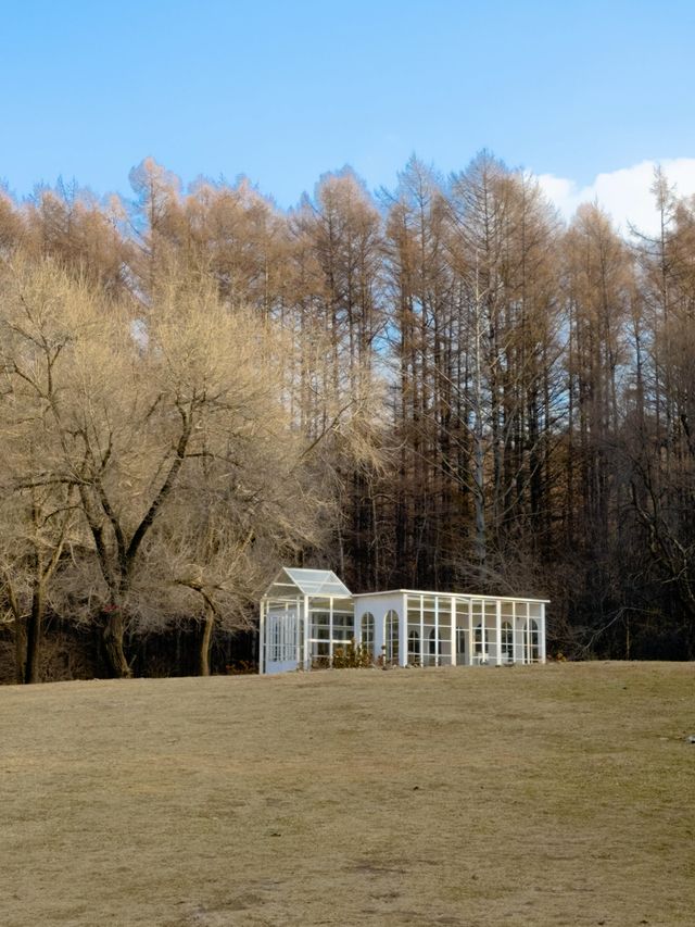 淨月潭：在冷杉林與月亮之間豢養一汪液態翡翠