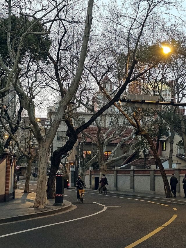 Почему Шанхай весной прекраснее всего 🌸 Почему Шанхай весной прекраснее всего 🌸