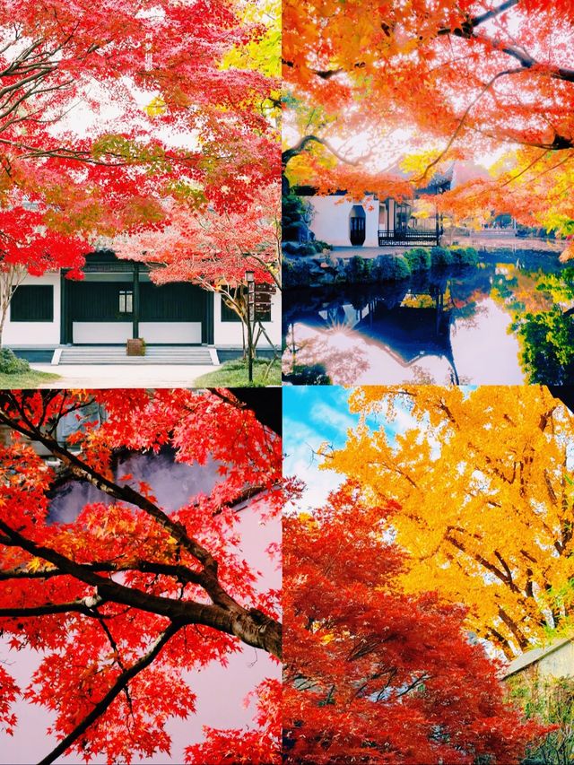 錯過無錫的秋 ，該有多遺憾吖