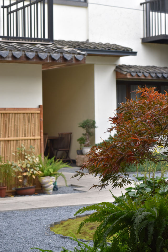 此刻，對紹興這家江南民宿好感度爆棚！！！