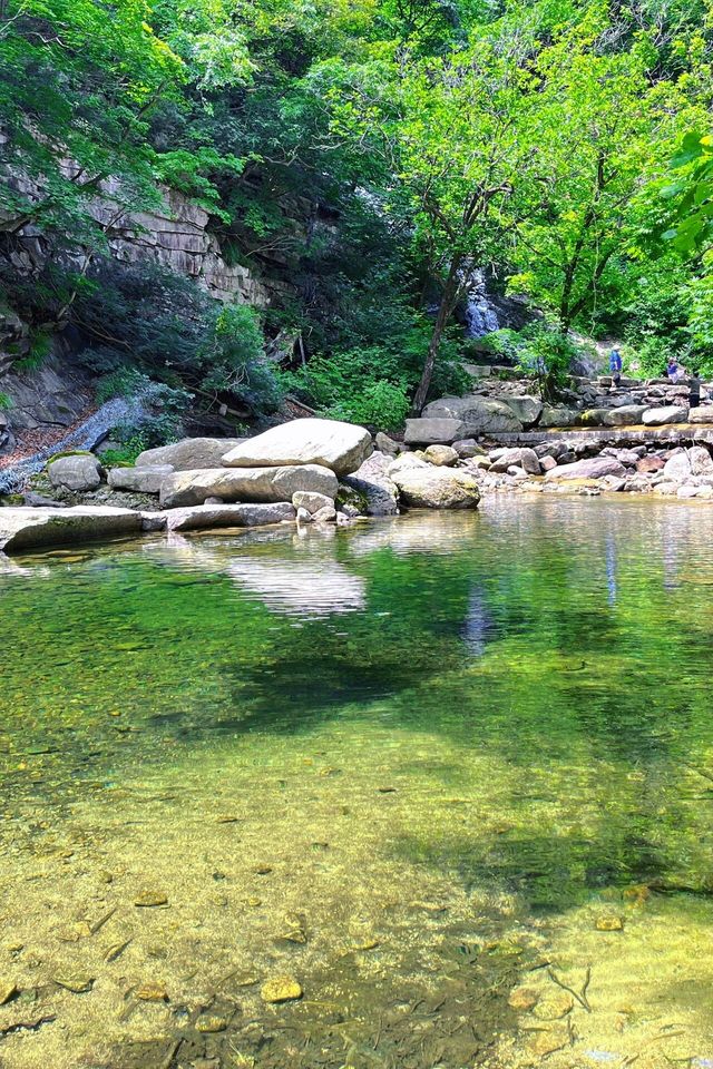 浙南秘境龍灣潭在千米懸空棧道看絕美飛瀑 浙南秘境龍灣潭在千米懸空棧道看絕美飛瀑