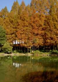 大佛寺鎏金時刻打卡