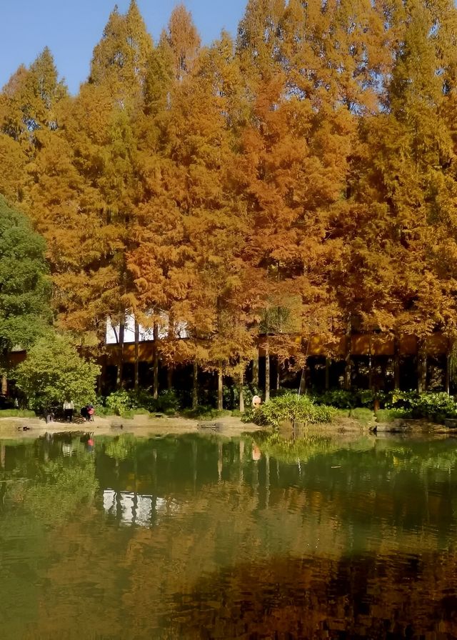 大佛寺鎏金時刻打卡 大佛寺鎏金時刻打卡