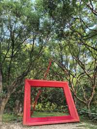 藏在深圳市中心的秘密角落,太美啦!