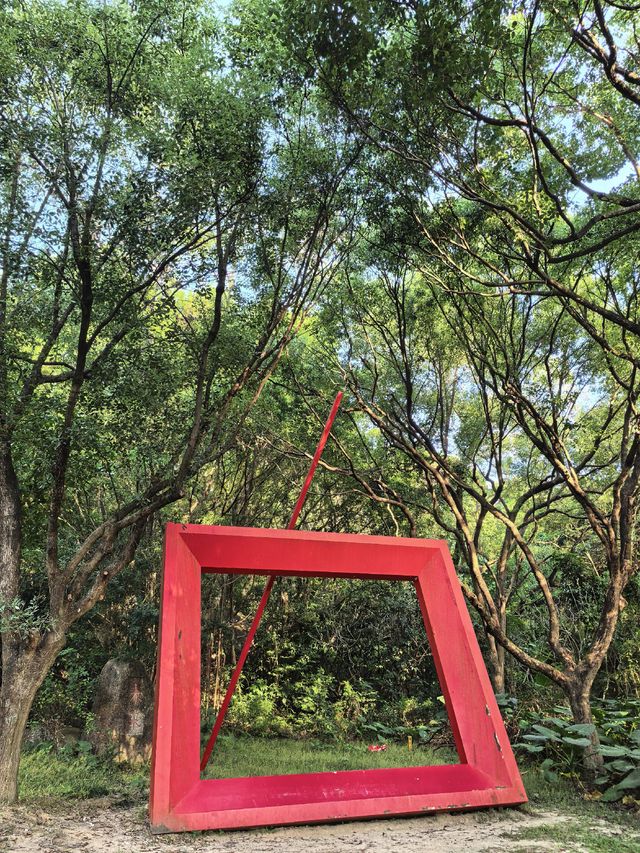 藏在深圳市中心的秘密角落,太美啦! 藏在深圳市中心的秘密角落,太美啦!