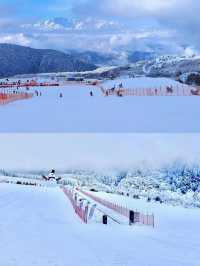 霧淞仙境美如畫