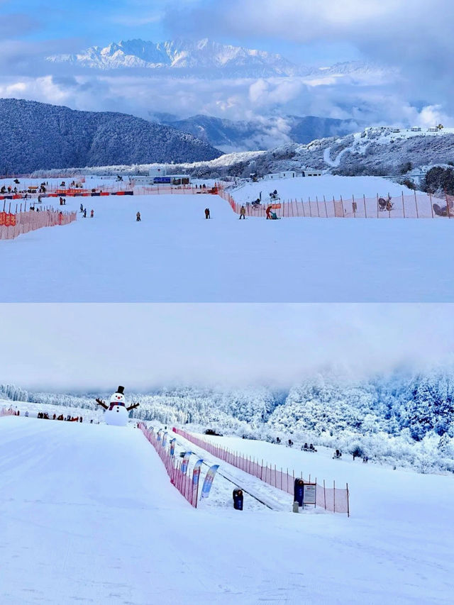 霧淞仙境美如畫