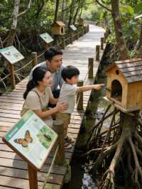 珠海私藏日落觀鳥地!橫琴濕地美到窒息附12月活動攻略