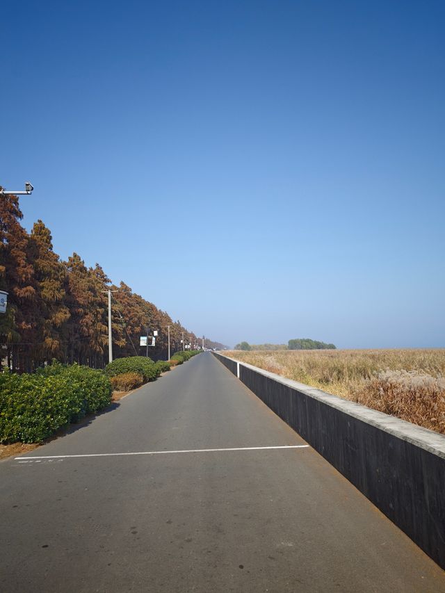 太湖綠地公園 太湖綠地公園