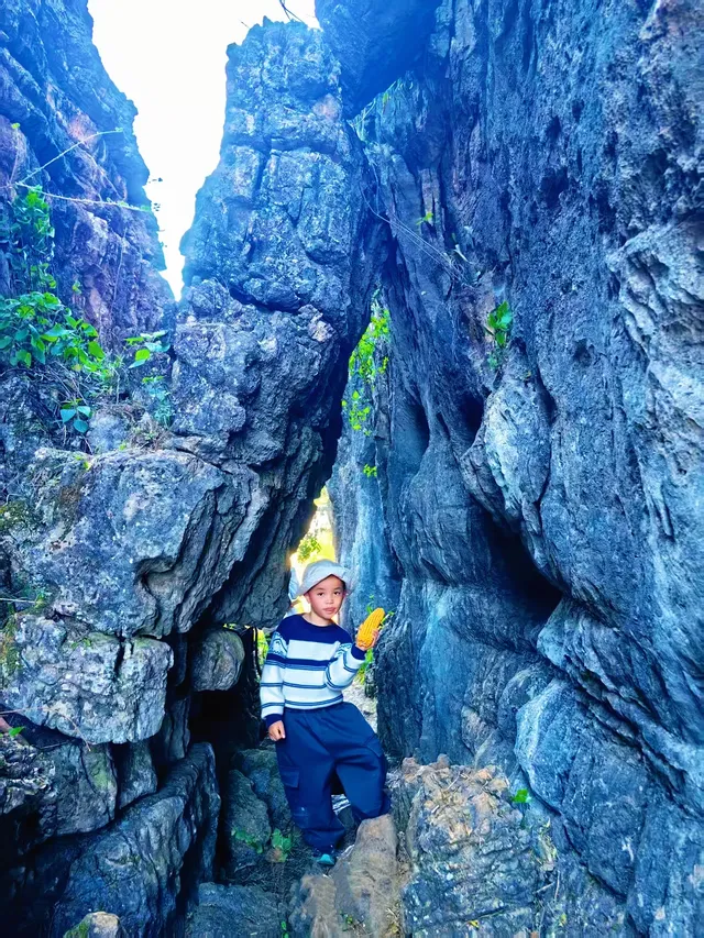 季節限定|雲南獨有的水上石林 季節限定|雲南獨有的水上石林