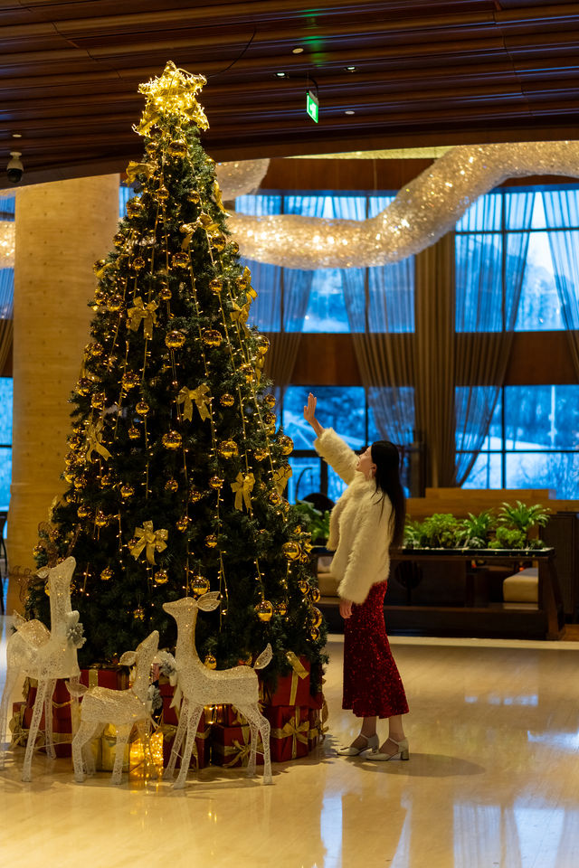 這個冬天夢幻的聖誕儀式感,被我狠狠拿捏了 這個冬天夢幻的聖誕儀式感,被我狠狠拿捏了