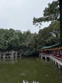 重慶散步|十一月依舊翠綠的鵝嶺公園
