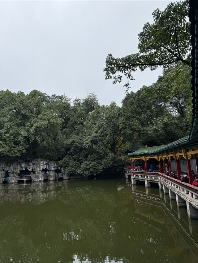重慶散步|十一月依舊翠綠的鵝嶺公園 重慶散步|十一月依舊翠綠的鵝嶺公園
