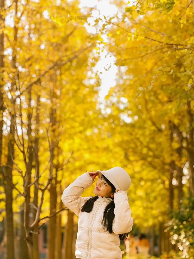 找到了!上海黃得最早的銀杏林免費人少 找到了!上海黃得最早的銀杏林免費人少