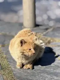 週末女大單兵武功山 全程6h (住山腳版)