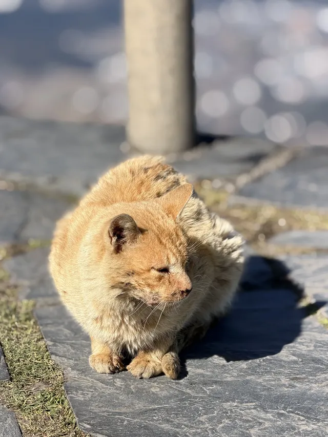 週末女大單兵武功山 全程6h (住山腳版) 週末女大單兵武功山 全程6h (住山腳版)