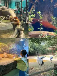 玩瘋了 | 兩天一夜龍之夢也太快樂了吧！