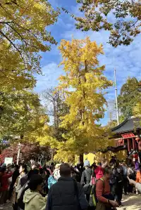 山野童行丨烏龍古道+八都岕一日暴走攻