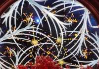 電影控必打卡！《捕風追影》澳門取景地·永利皇宮黃金發財樹攻略