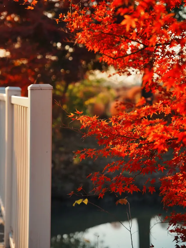 上海殺瘋了! 上海殺瘋了!