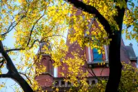 那道光撒向聖三一的銀杏上,也照進我的心裡