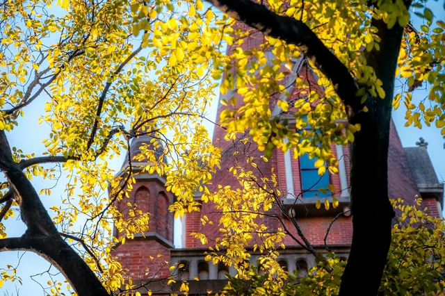 那道光撒向聖三一的銀杏上,也照進我的心裡 那道光撒向聖三一的銀杏上,也照進我的心裡