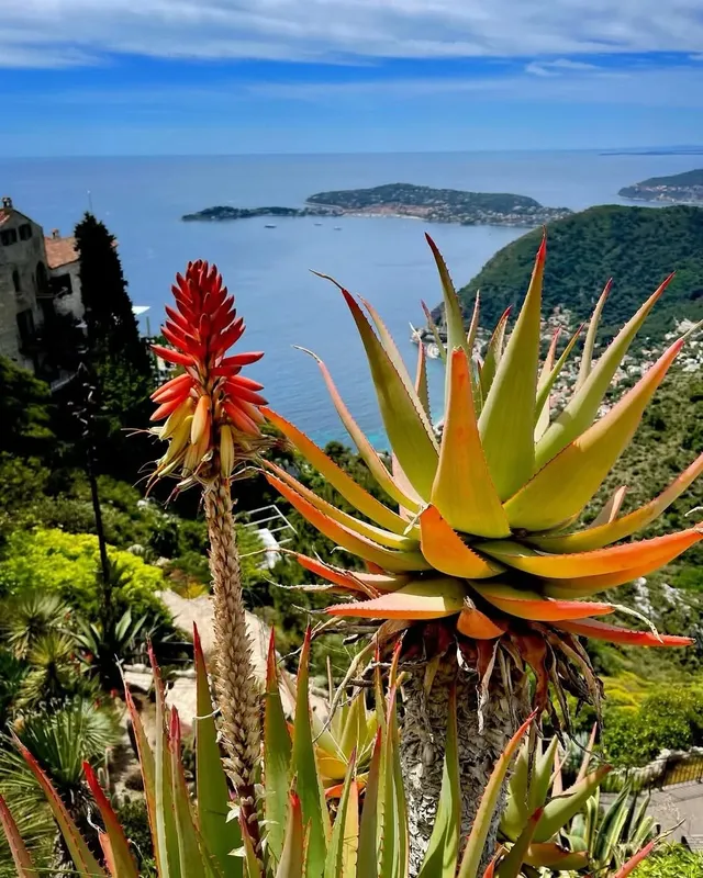 埃茲‖法國蔚藍海岸中世紀懸崖小鎮