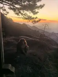靜心之旅～九華山