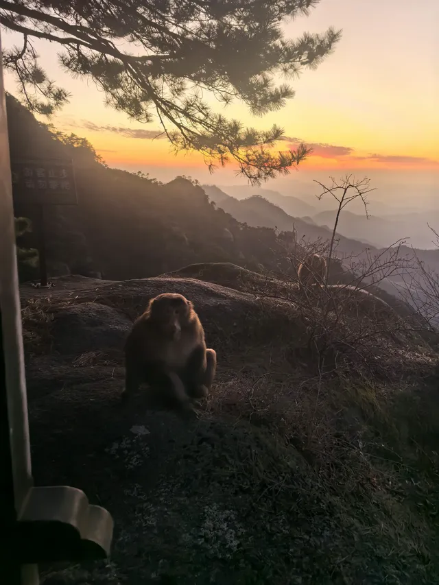 靜心之旅～九華山