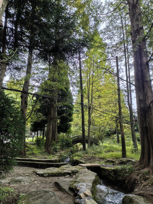 蘆林湖的靜美 蘆林湖的靜美