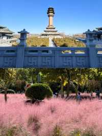 廊坊冬日秘境大公開！這6個小眾地拍照絕了