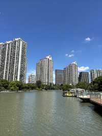 無懼秋老虎,打卡「千樹」之城,歷史的變遷,不定期更新