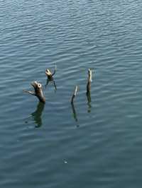 烈士公園的秋日氛圍