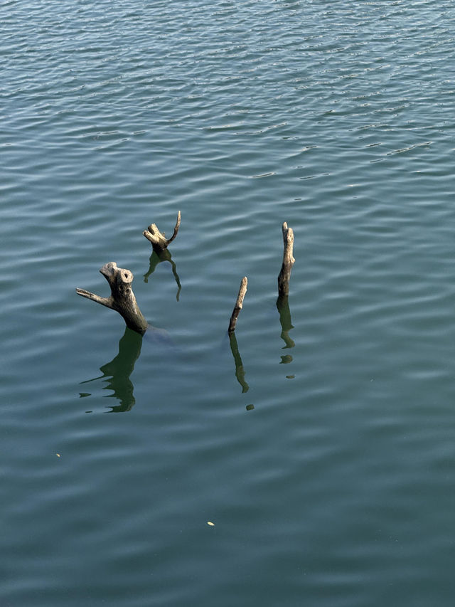烈士公園的秋日氛圍 烈士公園的秋日氛圍