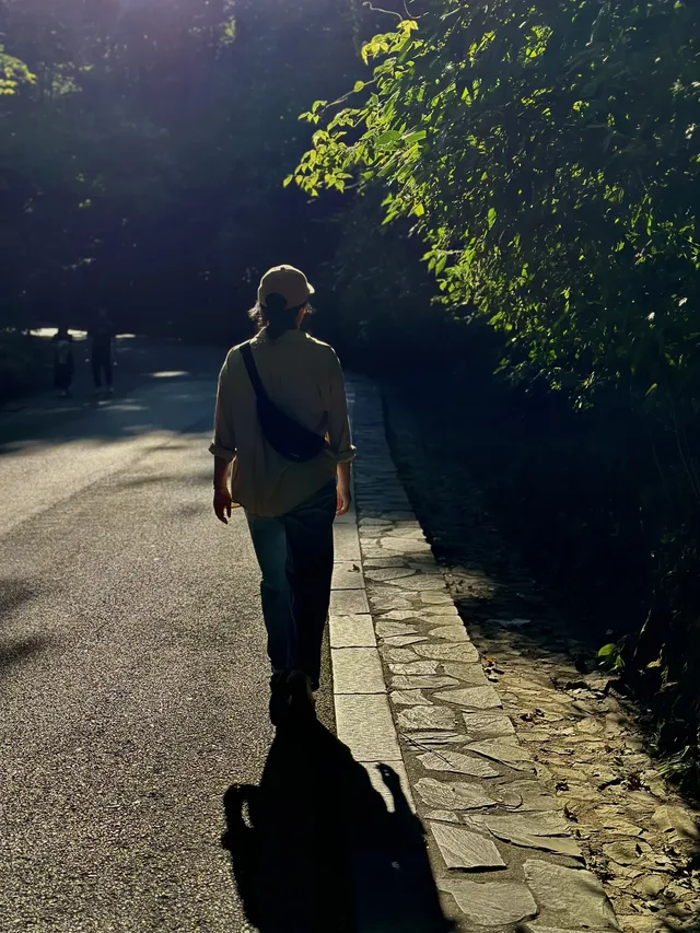 長沙嶽麓山的秋天 長沙嶽麓山的秋天