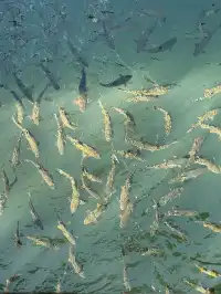 大自然的鬼斧神工和日出雲海