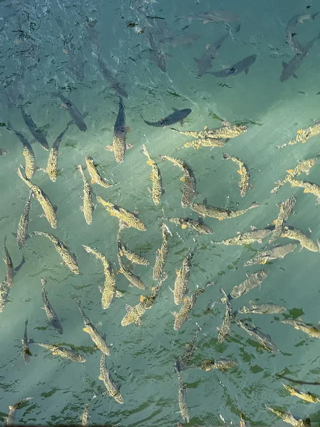 大自然的鬼斧神工和日出雲海 大自然的鬼斧神工和日出雲海