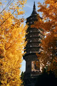 48小時逛正定,拍到了現實版魔法城堡