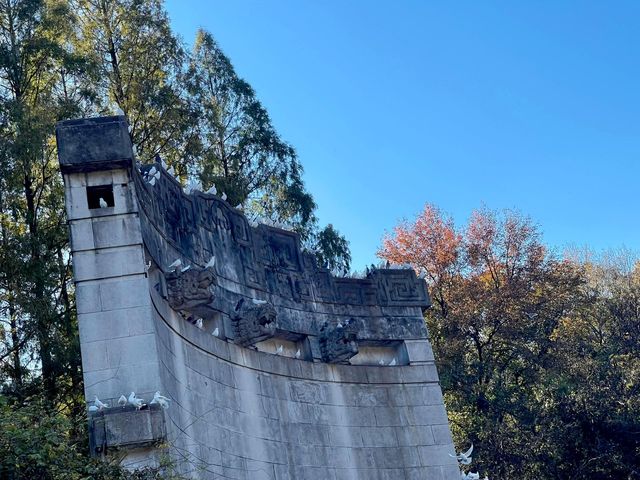 步數登頂的快樂誰懂!南京暴走一天滿是治癒感 步數登頂的快樂誰懂!南京暴走一天滿是治癒感