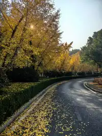 廣州—宜春用一個週末躲進秋日天堂