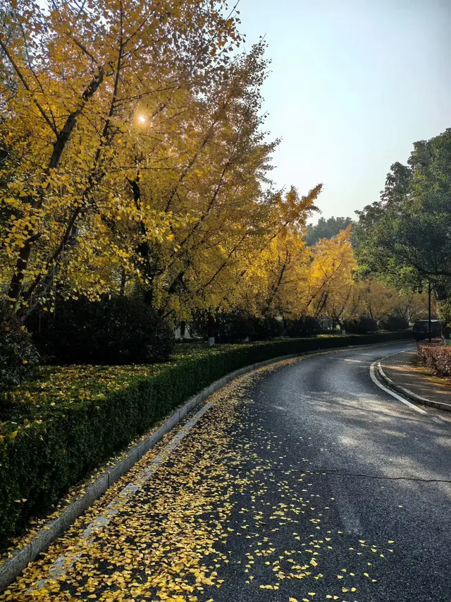 廣州—宜春用一個週末躲進秋日天堂