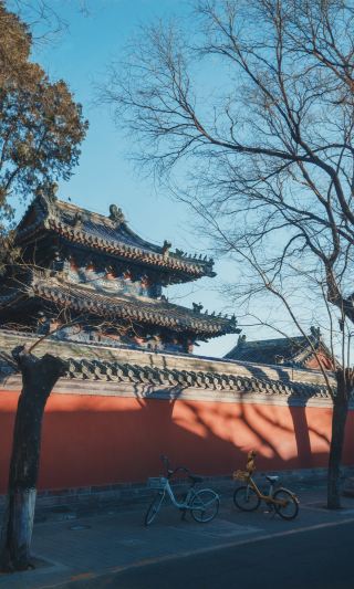 베이징 후통이 붉은 벽 갤러리가 되다|겨울의 절경 촬영지