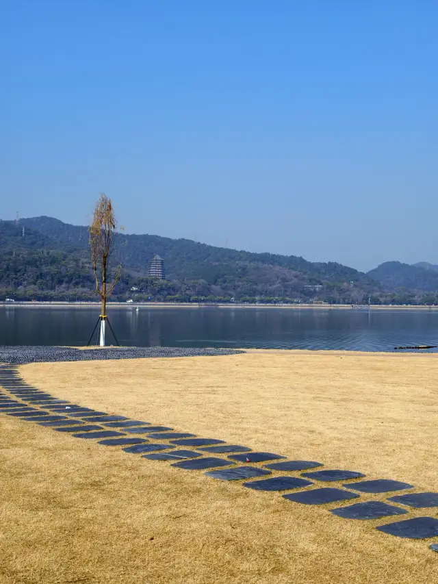 Camping by the Qiantang River in Hangzhou next to Liuhe Pagoda: Silver Gulls and Ancient Pagoda in the Same Frame