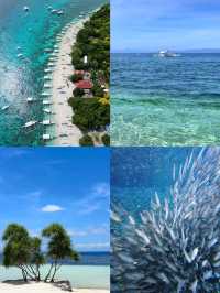 潛水天堂+果凍海+夢幻日落！