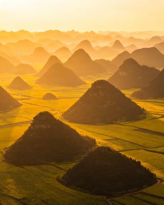 A Comprehensive Guide to Rapeseed Flowers in Luoping, Yunnan | A Limited-Time Golden Romance in Spring – Don't Miss It, or You'll Have to Wait Another Year! Springtime in Luoping is like a golden palette spilled by God.